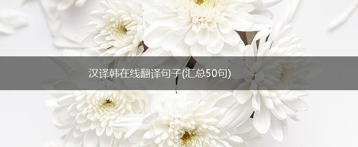 汉译韩在线翻译句子(汇总50句),第1张
