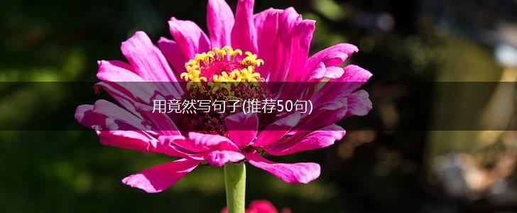 用竟然写句子(推荐50句),第1张