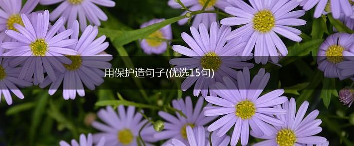 用保护造句子(优选15句),第1张
