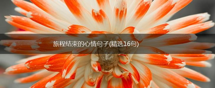 旅程结束的心情句子(精选16句),第1张