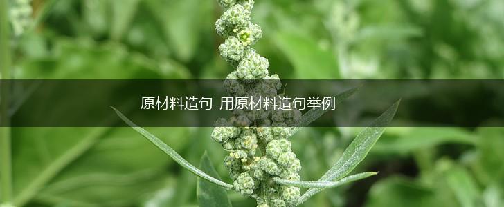 原材料造句_用原材料造句举例,第1张