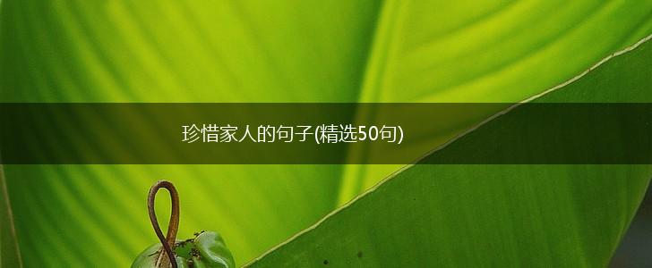 珍惜家人的句子(精选50句),第1张
