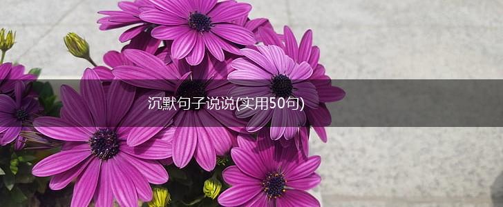 沉默句子说说(实用50句),第1张