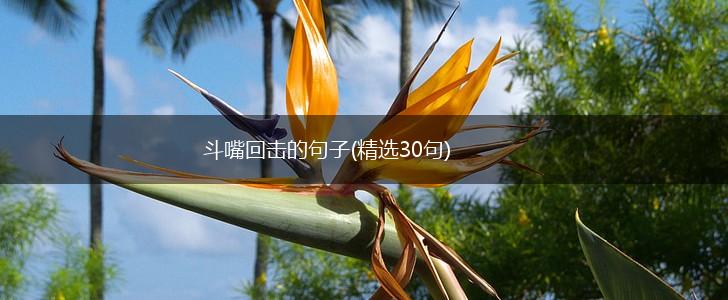 斗嘴回击的句子(精选30句),第1张