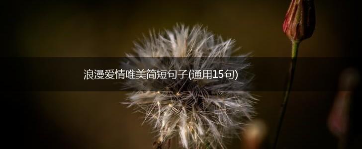 浪漫爱情唯美简短句子(通用15句),第1张