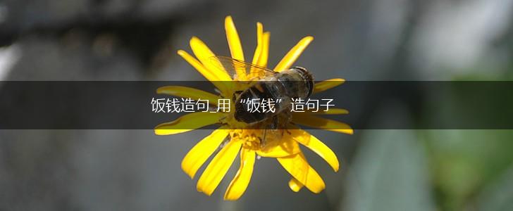 饭钱造句_用“饭钱”造句子,第1张