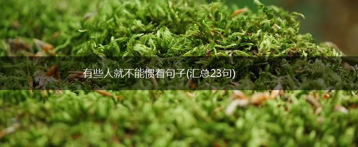 有些人就不能惯着句子(汇总23句),第1张