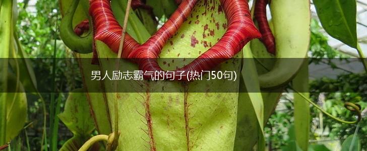 男人励志霸气的句子(热门50句),第1张