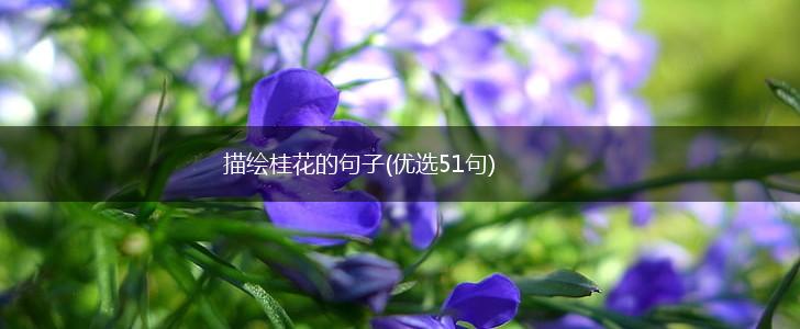 描绘桂花的句子(优选51句),第1张