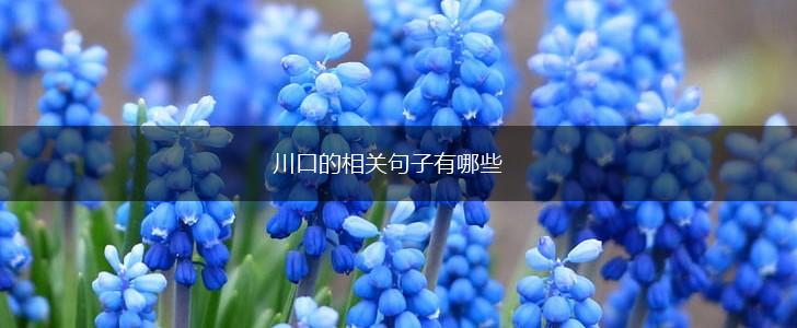川口的相关句子有哪些,第1张