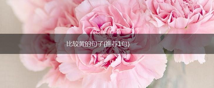 比较黄的句子(推荐1句),第1张
