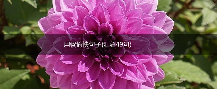 用餐愉快句子(汇总49句),第1张