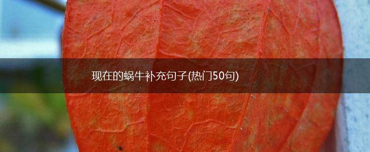 现在的蜗牛补充句子(热门50句),第1张