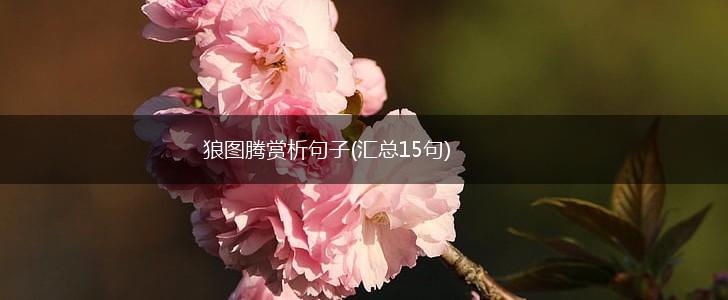 狼图腾赏析句子(汇总15句),第1张