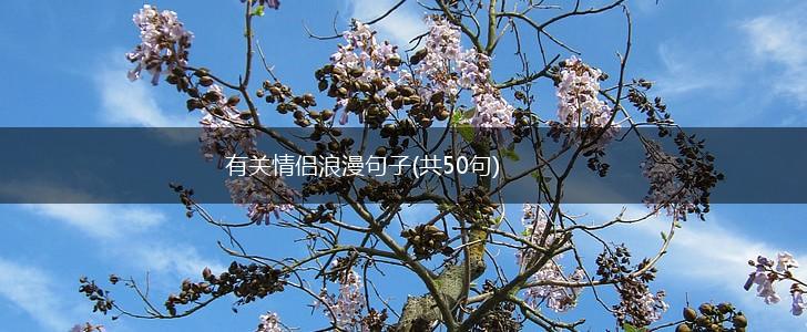 有关情侣浪漫句子(共50句),第1张