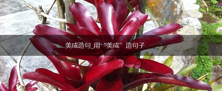 美成造句_用“美成”造句子,第1张