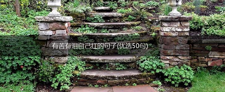 有苦有泪自己扛的句子(优选50句),第1张