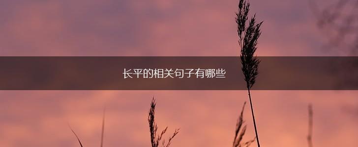 长平的相关句子有哪些,第1张
