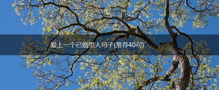 爱上一个已婚男人句子(推荐40句),第1张