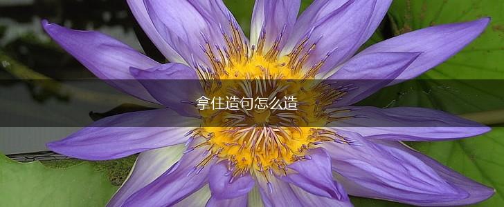 拿住造句怎么造,第1张