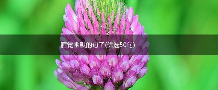 睡觉幽默的句子(优选50句),第1张