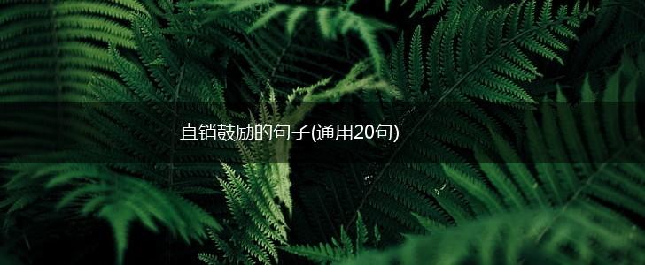直销鼓励的句子(通用20句),第1张
