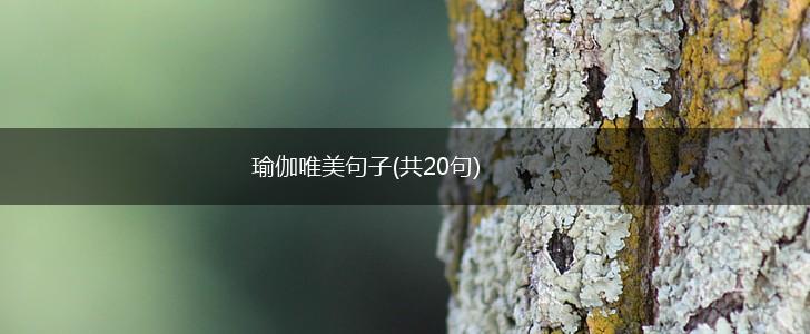 瑜伽唯美句子(共20句),第1张