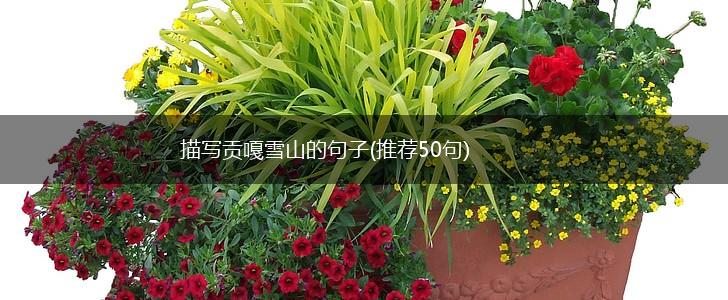 描写贡嘎雪山的句子(推荐50句),第1张