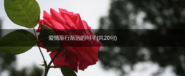 爱情渐行渐远的句子(共20句),第1张