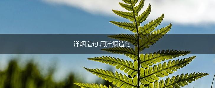 洋烟造句,用洋烟造句,第1张
