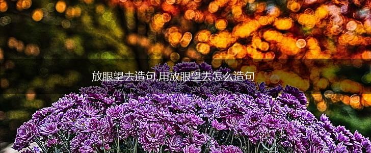 放眼望去造句,用放眼望去怎么造句,第1张