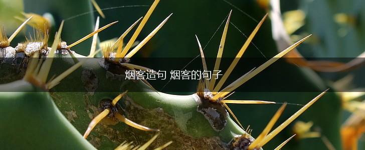 烟客造句 烟客的句子,第1张