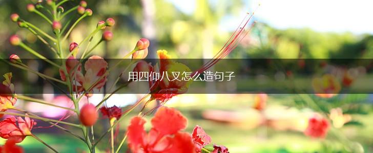 用四仰八叉怎么造句子,第1张