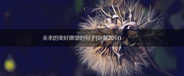 未来的美好愿望的句子(必备20句),第1张