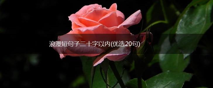 浪漫短句子二十字以内(优选20句),第1张