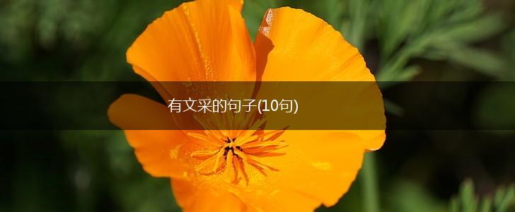 有文采的句子(10句),第1张