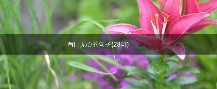 有口无心的句子(28句),第1张