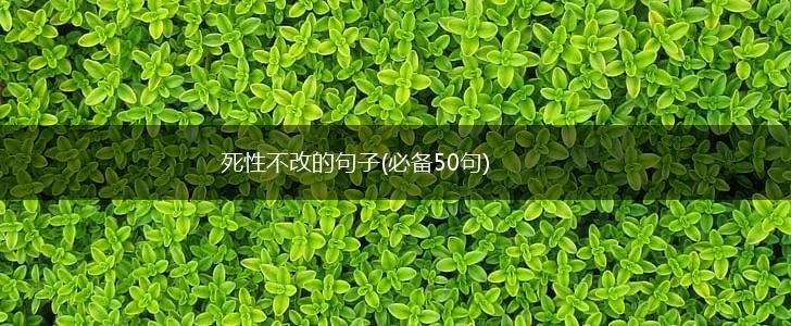 死性不改的句子(必备50句),第1张