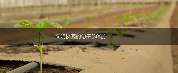 文明校园的句子(30句),第1张