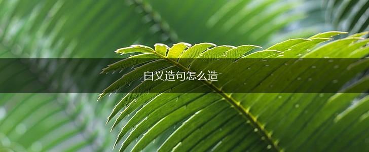 白义造句怎么造,第1张