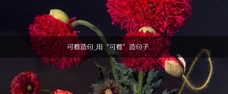 可着造句_用“可着”造句子,第1张