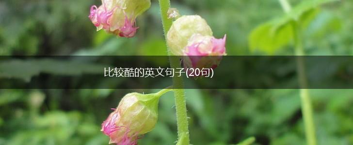 比较酷的英文句子(20句),第1张
