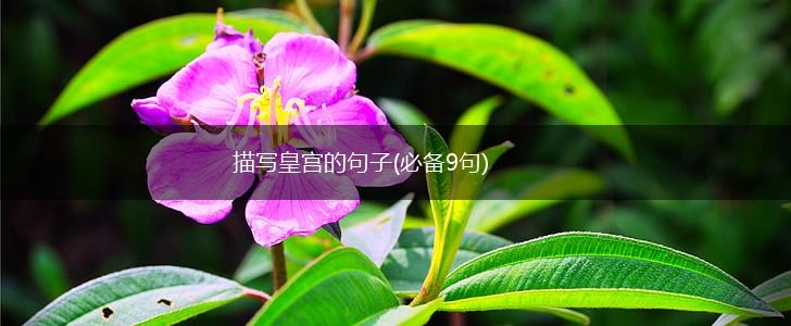 描写皇宫的句子(必备9句),第1张