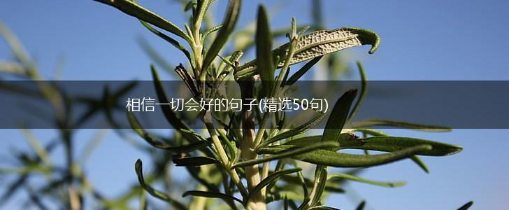 相信一切会好的句子(精选50句),第1张