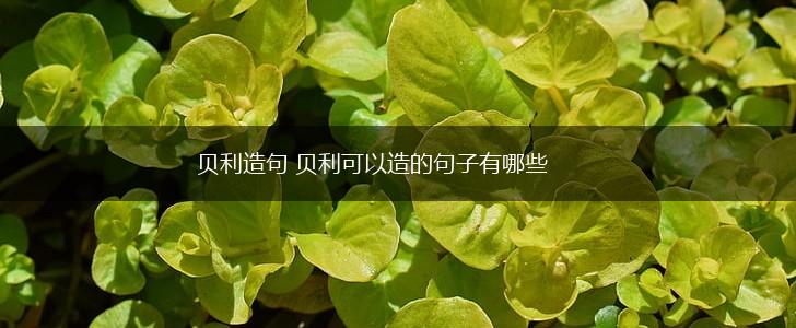 贝利造句 贝利可以造的句子有哪些,第1张