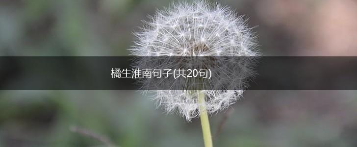 橘生淮南句子(共20句),第1张