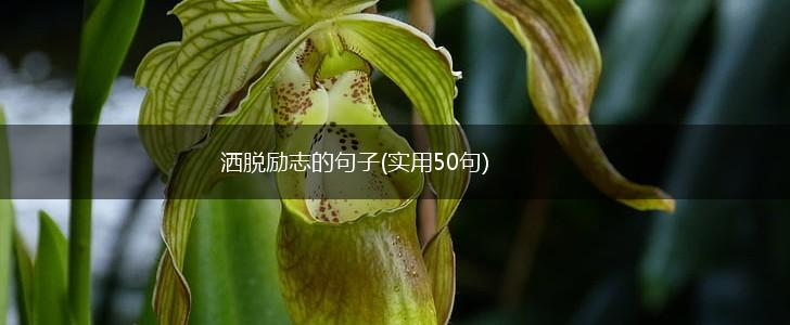 洒脱励志的句子(实用50句),第1张