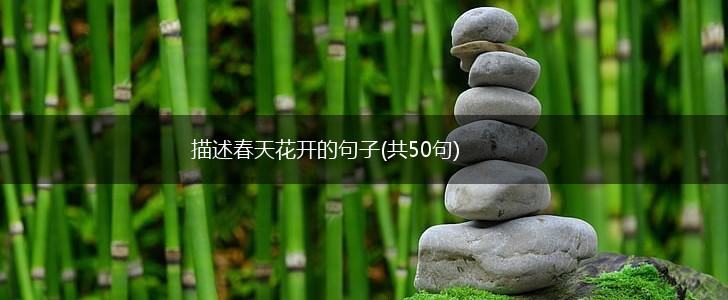 描述春天花开的句子(共50句),第1张