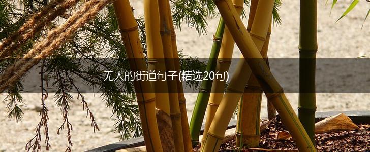 无人的街道句子(精选20句),第1张