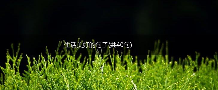 生活美好的句子(共40句),第1张